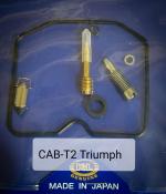 K&L Triumph CARBURETOR REPAIR KIT 1003-0491
