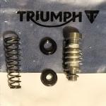 Triumph Rear Master Piston Kit:  T2022110