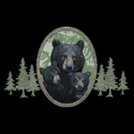 Bears - A6513E
