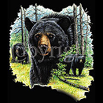 Bear - A9632B