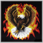 Eagle With Flames - A11310A