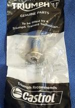 Triumph Brake Disc Bolt Kit: T2029090