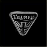 Triumph Flag Pin