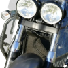 MADSTAD Lowers For Triumph