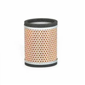 Triumph OEM  Air filter Part Number: T2202450